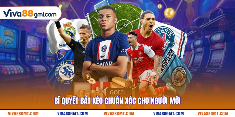 Bí quyết bắt kèo chuẩn xác cho người mới